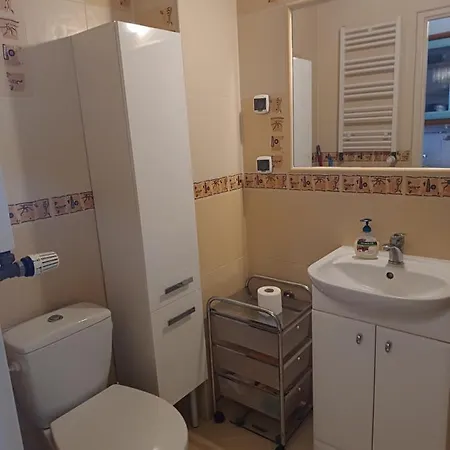 Apartment Krynica - Free Parking *