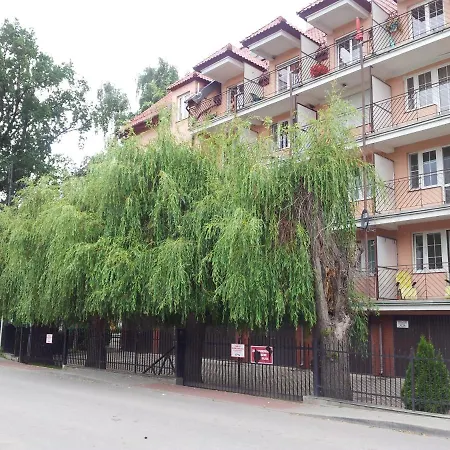 Krynica - Free Parking