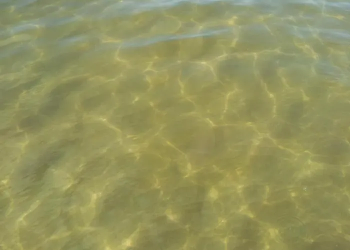 Krynica - Free Parking Apartmán