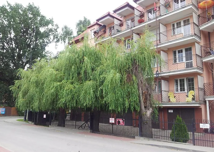 Krynica - Free Parking